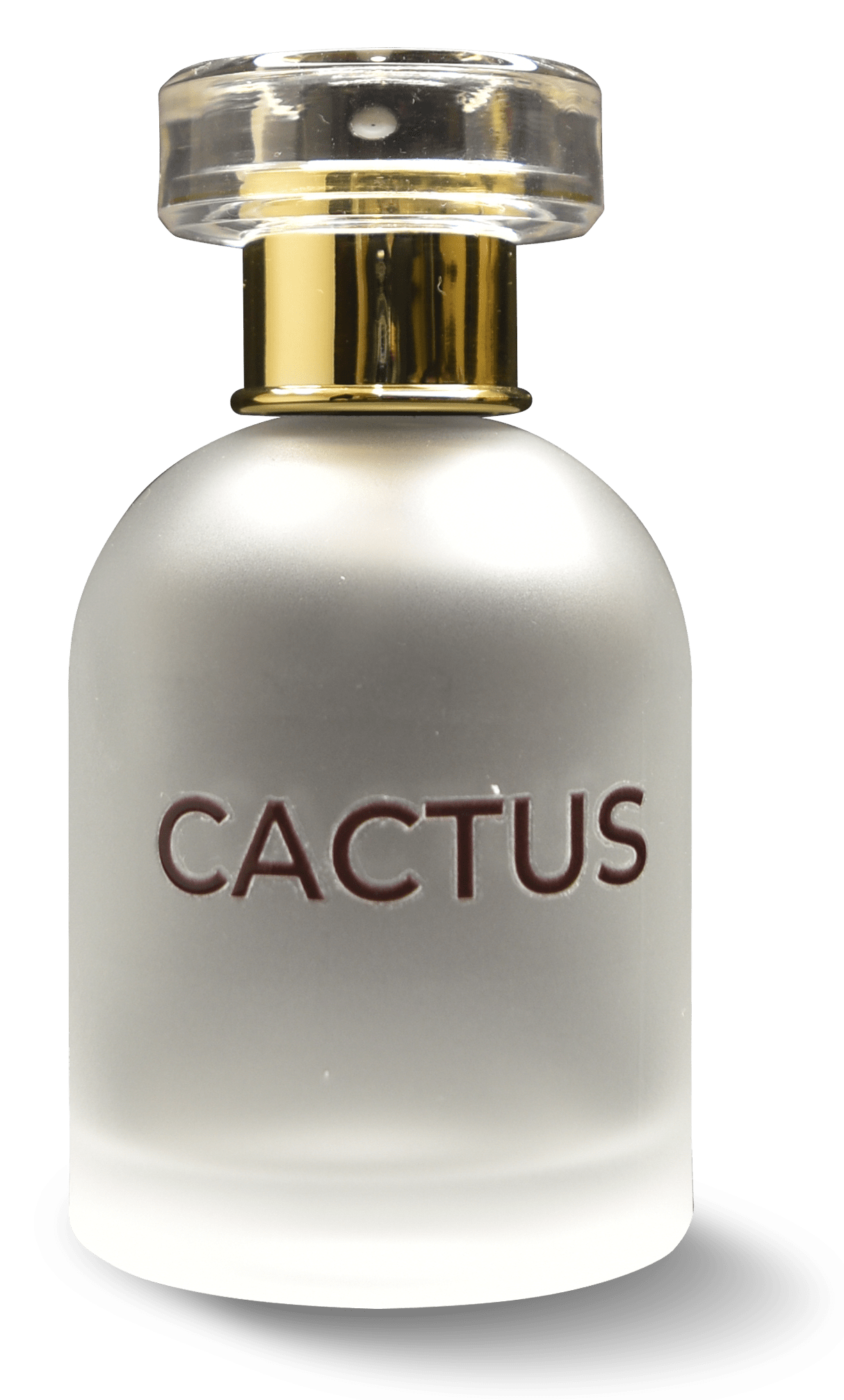 Cactus Perfume Bottle with a fresh and nature-inspired design.